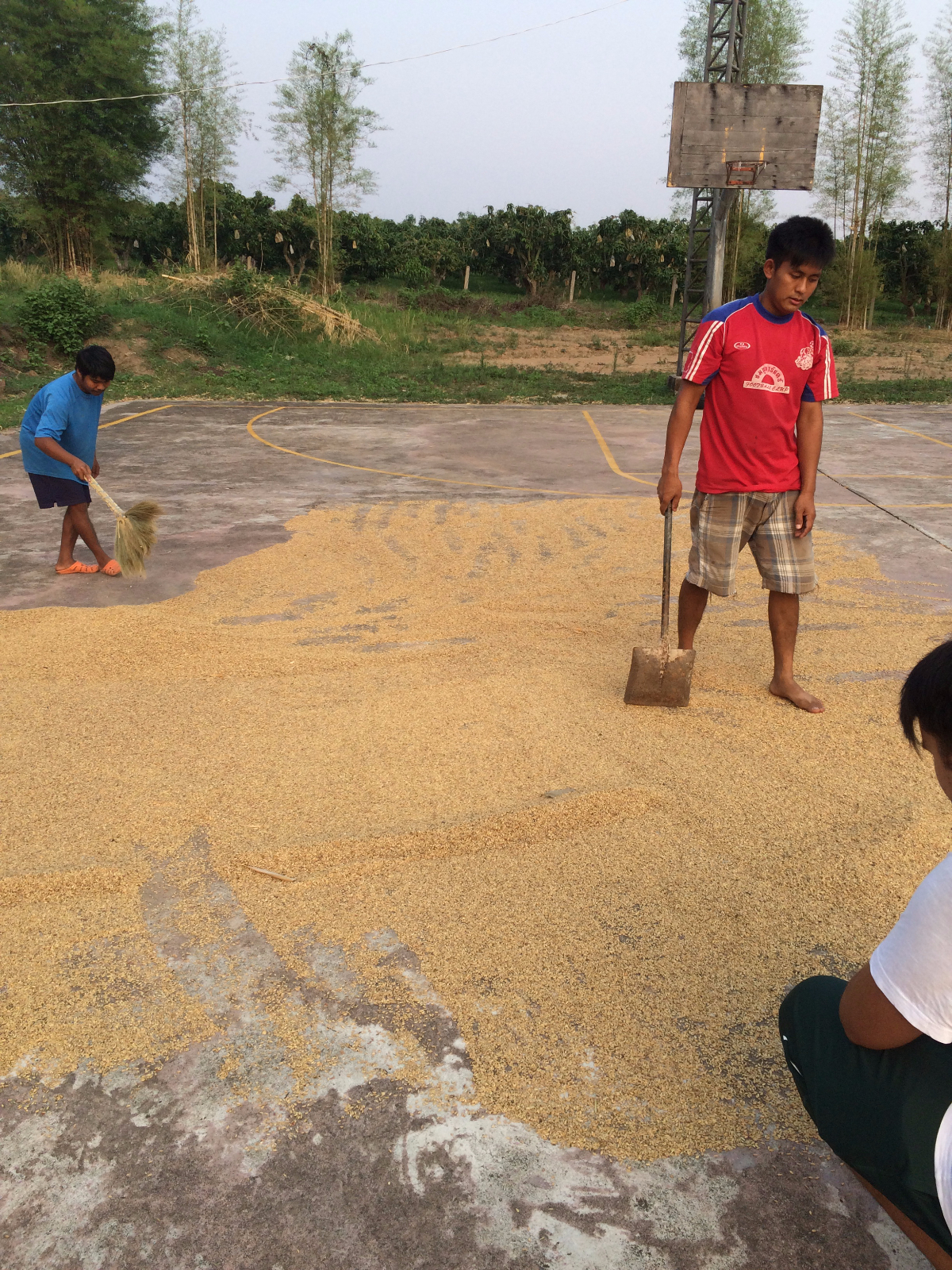 de85d247-4b46-47d0-9a0d-4359b850497b