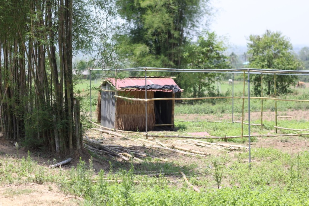 thumb_IMG_3947_1024-1024x683