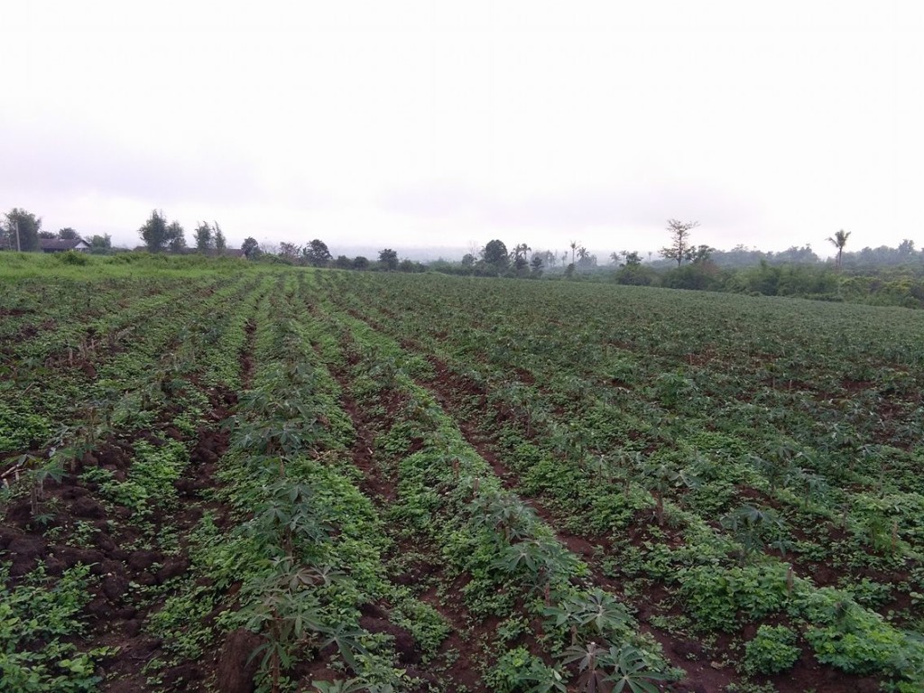 13950839_1647534218893388_1551382917_o