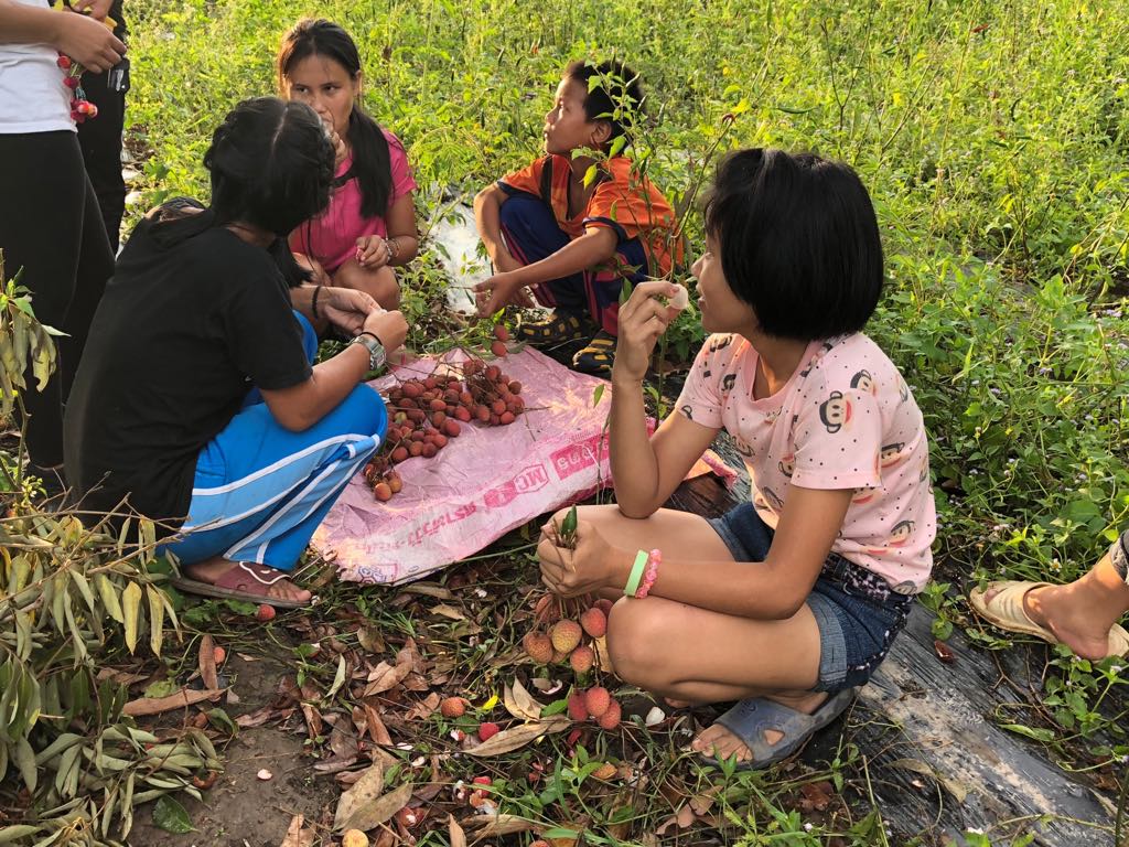 32695455_2125044324176977_7603765699466493952_n